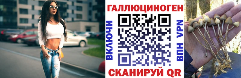 Галлюциногенные грибы Psilocybine cubensis Балей