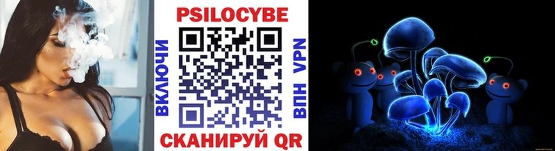 Галлюциногенные грибы Psilocybe  как найти   Балей 