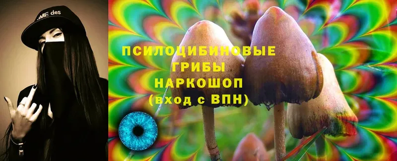 Галлюциногенные грибы MAGIC MUSHROOMS  Балей 